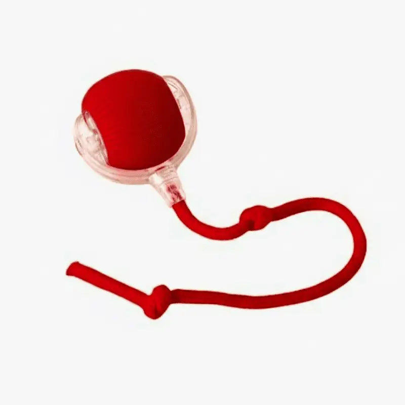 SmartGlow Interactive Dog Ball