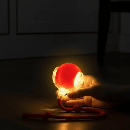 SmartGlow Interactive Dog Ball